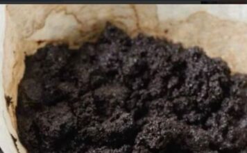 DVA NEVJEROVATNA NAČINA UPOTREBE – ZAŠTO JE TALOG KAFE PRAVO BLAGO! DVA NEVJEROVATNA NAČINA UPOTREBE – ZAŠTO JE TALOG KAFE PRAVO BLAGO!