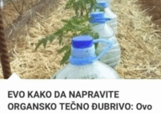 EVO KAKO DA NAPRAVITE ORGANSKO TEČNO ĐUBRIVO: Djeluje kao RAKETNO GORIVO za rast svih biljaka!