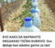 EVO KAKO DA NAPRAVITE ORGANSKO TEČNO ĐUBRIVO: Djeluje kao RAKETNO GORIVO za rast svih biljaka!