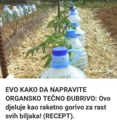 EVO KAKO DA NAPRAVITE ORGANSKO TEČNO ĐUBRIVO: Djeluje kao RAKETNO GORIVO za rast svih biljaka!