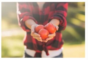 KO NE SME NIPOŠTO DA JEDA PARADAJZ? Ako se lečite od ovih bolesti, BACITE GA ODMAH, nije vredan vašeg ZDRAVLJA