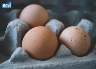 Koliko tačno dugo smiju da se čuvaju svježa jaja u frižideru? Iznenadićete se Koliko tačno dugo smiju da se čuvaju svježa jaja u frižideru? Iznenadićete se