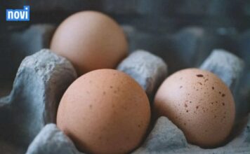 Koliko tačno dugo smiju da se čuvaju svježa jaja u frižideru? Iznenadićete se Koliko tačno dugo smiju da se čuvaju svježa jaja u frižideru? Iznenadićete se