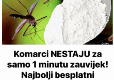 Komarci NESTAJU za samo 1 minutu zauvijek! Najbolji besplatni organski recept!