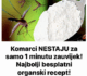 Komarci NESTAJU za samo 1 minutu zauvijek! Najbolji besplatni organski recept!