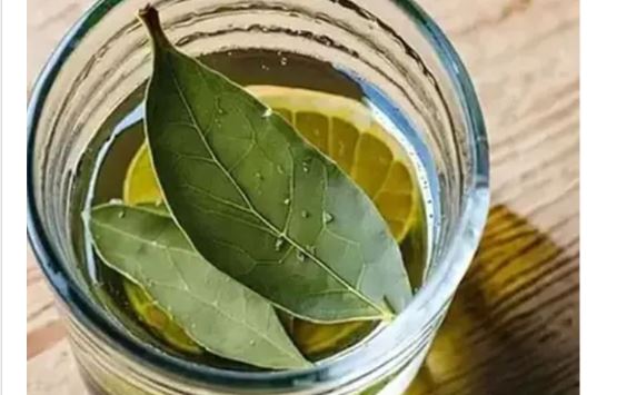 MOJA BAKA JE UVIJEK STAVLJALA L0V0R0V LIST U SO 🧂🍃 Kad sam saznala zašto, 0stala sam bez riječi – nikad nisam vidjela ništa slično