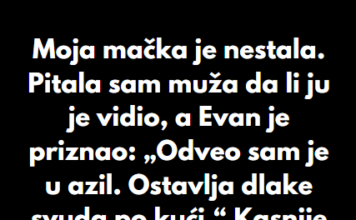 “Moja mačka je nestala. Pitala sam muža da li ju je vidio, a Evan je priznao…” “Moja mačka je nestala. Pitala sam muža da li ju je vidio, a Evan je priznao…”