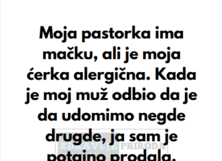 “Moja pastorka ima mačku, ali je moja ćerka alergična…” “Moja pastorka ima mačku, ali je moja ćerka alergična…”