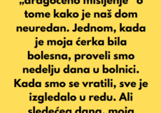 “Moja svekrva je ponudila pomoć dok je naša ćerka bila bolesna — a onda je izdala naše poverenje…”