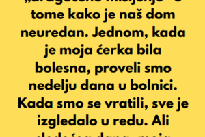 “Moja svekrva je ponudila pomoć dok je naša ćerka bila bolesna — a onda je izdala naše poverenje…”