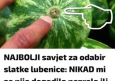 NAJBOLJI savjet za odabir slatke lubenice: NIKAD mi se nije DOGODILA nezrela ili ne baš slatka NAJBOLJI savjet za odabir slatke lubenice: NIKAD mi se nije DOGODILA nezrela ili ne baš slatka