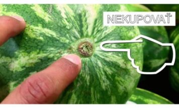 NAJBOLJI savjet za odabir slatke lubenice: NIKAD mi se nije DOGODILA nezrela ili ne baš slatka NAJBOLJI savjet za odabir slatke lubenice: NIKAD mi se nije DOGODILA nezrela ili ne baš slatka