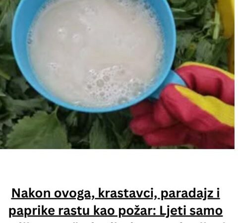 Nakon ovoga, krastavci, paradajz i paprike rastu kao požar: Ljeti samo prelijte ovo čudo direktno na korijenje i nećete prepoznati svoj urod!