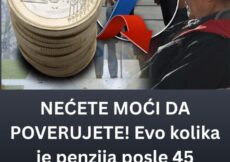 NEĆETE MOĆI DA POVERUJETE! Evo kolika je penzija posle 45 godina staža u Nemačkoj: ŠOK! NEĆETE MOĆI DA POVERUJETE! Evo kolika je penzija posle 45 godina staža u Nemačkoj: ŠOK!