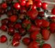 Nutricionisti upozoravaju: Zašto ne biste smjeli miješati jagode i trešnje?