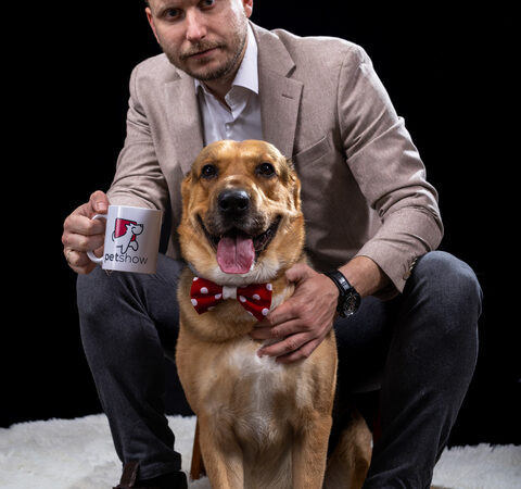 Od veterinara do frizera i pansiona: Bračni par napravio aplikaciju PetShow i sve je nadohvat šape