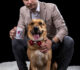 Od veterinara do frizera i pansiona: Bračni par napravio aplikaciju PetShow i sve je nadohvat šape