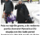 Pala na najniže grane, a do nedavno punila dvorane! Pjevačica (71) skuplja sve što nađe pored kontejnera: “Ne bih mogla da živim samo od penzije, izdao me moj glas ali i porodica”