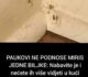 PAUKOVI NE PODNOSE MIRIS JEDNE BILJKE: Nabavite je i nećete ih više vidjeti u kući