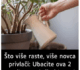 SIPAJTE MEŠAVINU OVA 2 JEFTINA SASTOJKA IZ KUHINJE U SAKSIJU I GLEDAJTE: Drvo novca će rasti i cvetati kao ludo