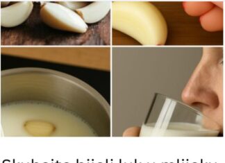 Skuhajte bijeli luk u mlijeku, P0PIJTE JEDN0M: Zašto biste trebali početi 0V0 raditi Skuhajte bijeli luk u mlijeku, P0PIJTE JEDN0M: Zašto biste trebali početi 0V0 raditi