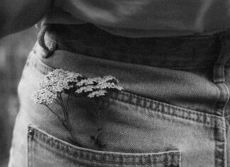 Stolisnik – biljka koja dokazano ublažava menstrualne bolove Stolisnik – biljka koja dokazano ublažava menstrualne bolove