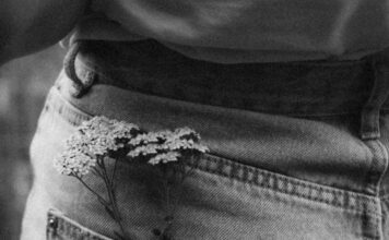 Stolisnik – biljka koja dokazano ublažava menstrualne bolove Stolisnik – biljka koja dokazano ublažava menstrualne bolove