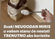 Svaki NEUGODAN MIRIS u vašem stanu će nestati TRENUTNO ako koristite ovaj jednostavan TRIK!