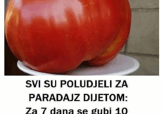 SVI SU POLUDJELI ZA PARADAJZ DIJETOM: Za SEDAM DANA se gubi 1O KILOGRAMA, a tek da čujete KOLIKO MRŠAVITE ZA TRI DANA