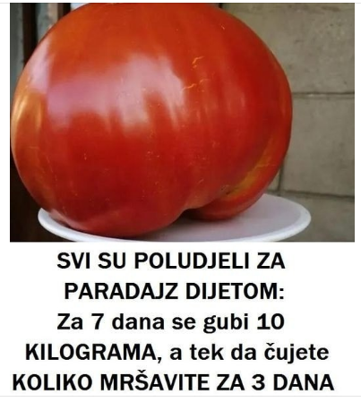 SVI SU POLUDJELI ZA PARADAJZ DIJETOM: Za SEDAM DANA se gubi 1O KILOGRAMA, a tek da čujete KOLIKO MRŠAVITE ZA TRI DANA