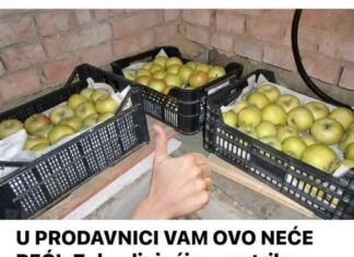 U PRODAVNICI VAM OVO NEĆE REĆI: Zahvaljujući ovom triku, jabuke ostaju svježe mnogo mjeseci, krompir ne niče, a mrkva traje cijelu godinu! U PRODAVNICI VAM OVO NEĆE REĆI: Zahvaljujući ovom triku, jabuke ostaju svježe mnogo mjeseci, krompir ne niče, a mrkva traje cijelu godinu!