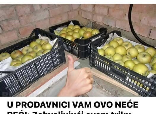U PRODAVNICI VAM OVO NEĆE REĆI: Zahvaljujući ovom triku, jabuke ostaju svježe mnogo mjeseci, krompir ne niče, a mrkva traje cijelu godinu! U PRODAVNICI VAM OVO NEĆE REĆI: Zahvaljujući ovom triku, jabuke ostaju svježe mnogo mjeseci, krompir ne niče, a mrkva traje cijelu godinu!