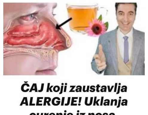 ČAJ koji zaustavlja ALERGIJE! Uklanja curenje iz nosa, svrbež očiju, kašalj ČAJ koji zaustavlja ALERGIJE! Uklanja curenje iz nosa, svrbež očiju, kašalj
