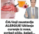 ČAJ koji zaustavlja ALERGIJE! Uklanja curenje iz nosa, svrbež očiju, kašalj