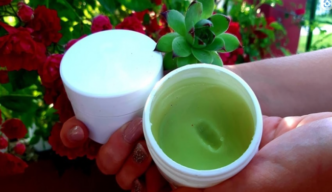 Čirevi, bradavice, upalne akne i pege mogu p0stati deo prošlosti: Za svega 10 minuta pripremite moćnu mast od čuvarkuće