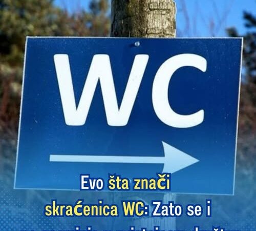 Evo šta znači skraćenica WC: Zato se i ne spominje u pristojnom društvu