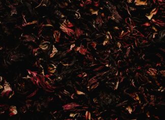 Hibiskus – u sekundama normalizuje krvni pritisak Hibiskus - u sekundama normalizuje krvni pritisak