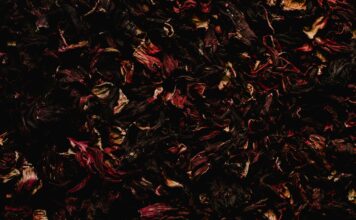 Hibiskus – u sekundama normalizuje krvni pritisak Hibiskus - u sekundama normalizuje krvni pritisak