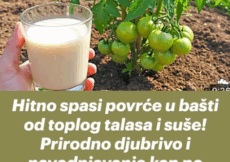 Hitno spasi povrće u bašti od toplog talasa i suše! Prirodno djubrivo i navodnjavanje kap po kap!