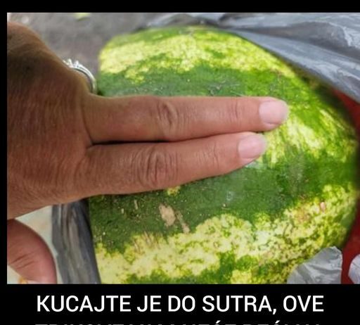 KUCAJTE JE DO SUTRA, OVE TRIKOVE VAM NEĆE REĆI NA PIJACI! Znate li pravilno da izaberete SLATKU lubenicu – evo kako KUCAJTE JE DO SUTRA, OVE TRIKOVE VAM NEĆE REĆI NA PIJACI! Znate li pravilno da izaberete SLATKU lubenicu – evo kako