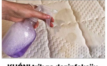 KUĆNI trik za dezinfekciju svih dušeka za 1 minut: Bez mirisa, mrlja ili grinja – dušeci su kao novi! KUĆNI trik za dezinfekciju svih dušeka za 1 minut: Bez mirisa, mrlja ili grinja – dušeci su kao novi!