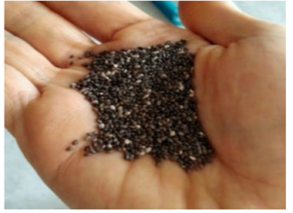 NEMA DIJETA, JEDINO ŠTO VAM TREBA JE OVA NAMIRNICA: Topi kilograme, čuva srce, ljekari je smatraju ČUDESNOM! NEMA DIJETA, JEDINO ŠTO VAM TREBA JE OVA NAMIRNICA: Topi kilograme, čuva srce, ljekari je smatraju ČUDESNOM!