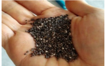 NEMA DIJETA, JEDINO ŠTO VAM TREBA JE OVA NAMIRNICA: Topi kilograme, čuva srce, ljekari je smatraju ČUDESNOM! NEMA DIJETA, JEDINO ŠTO VAM TREBA JE OVA NAMIRNICA: Topi kilograme, čuva srce, ljekari je smatraju ČUDESNOM!