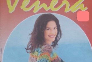 Nezaboravna večer (ljubić)