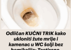 Odličan KUĆNI TRIK kako ukloniti žute mrlje i kamenac u WC šolji bez hemikalija: Testirano, djeluje odmah! Odličan KUĆNI TRIK kako ukloniti žute mrlje i kamenac u WC šolji bez hemikalija: Testirano, djeluje odmah!