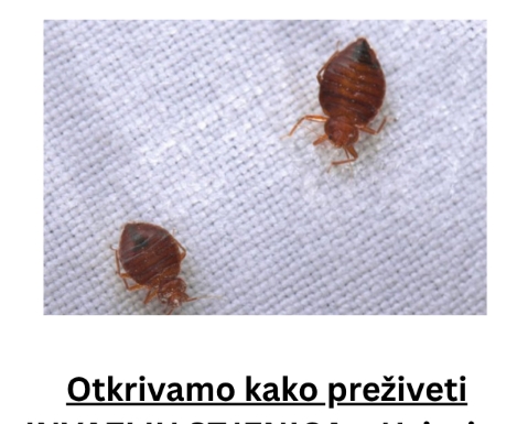 Otkrivamo kako preživeti INVAZIJU STJENICA – Usisajte utičnice, odeću u zamrzivač a 1 stvar nemojte nikako raditi! Otkrivamo kako preživeti INVAZIJU STJENICA – Usisajte utičnice, odeću u zamrzivač a 1 stvar nemojte nikako raditi!