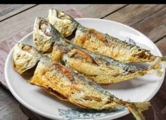 Ovo je najzdravija riba na svijetu: Može usporiti starenje, a usto štiti srce i snižava holesterol Ovo je najzdravija riba na svijetu: Može usporiti starenje, a usto štiti srce i snižava holesterol