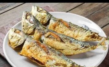 Ovo je najzdravija riba na svijetu: Može usporiti starenje, a usto štiti srce i snižava holesterol Ovo je najzdravija riba na svijetu: Može usporiti starenje, a usto štiti srce i snižava holesterol