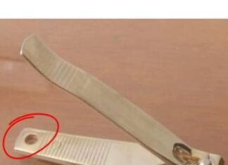 Potpuno će vas RASPAMETITI FUNKCIJA RUPICE NA GRICKALICI ZA NOKTE: Služi čak za 2 STVARI i ovo niko nije mogao ni da pretpostavi – nije tu samo zbog dekoracije Potpuno će vas RASPAMETITI FUNKCIJA RUPICE NA GRICKALICI ZA NOKTE: Služi čak za 2 STVARI i ovo niko nije mogao ni da pretpostavi – nije tu samo zbog dekoracije