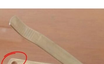 Potpuno će vas RASPAMETITI FUNKCIJA RUPICE NA GRICKALICI ZA NOKTE: Služi čak za 2 STVARI i ovo niko nije mogao ni da pretpostavi – nije tu samo zbog dekoracije Potpuno će vas RASPAMETITI FUNKCIJA RUPICE NA GRICKALICI ZA NOKTE: Služi čak za 2 STVARI i ovo niko nije mogao ni da pretpostavi – nije tu samo zbog dekoracije